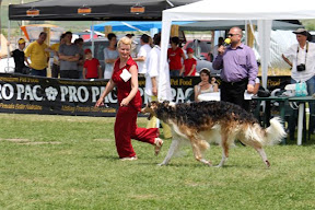 rumunia2010,sibibu.jpg