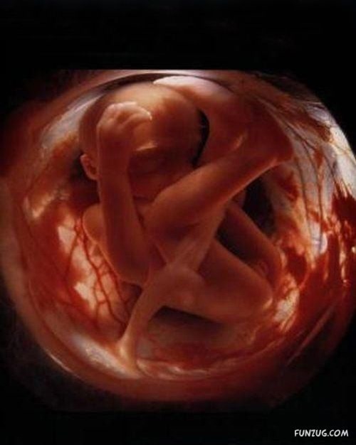 A gravidez em fotos incríveis