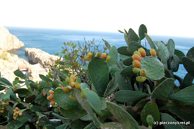 rethymnon Zatoka Damnoni Bay, hotel Kalypso Cretan Village