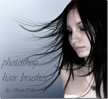 hair_brushes_by_WCS_Wildcat hair_brushes_by_WCS_Wildcat