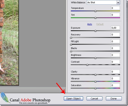 Abrir imagem do camera raw como Smart Object 0002 Abrir imagem do camera raw como Smart Object 0002
