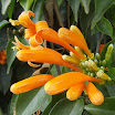 PB130034.JPG