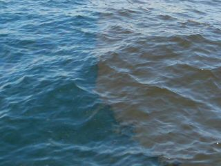 Oil spill near the Deepwater Horizon well. Photo: Dr. Vernon Asper