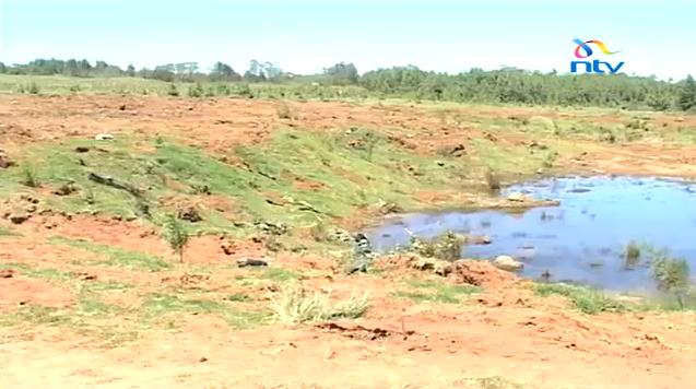 Destroyed Kaptunga forest, part of the Mau complex, 2010. Restoration of this area began on Friday, 15 Jan 2010. NTV