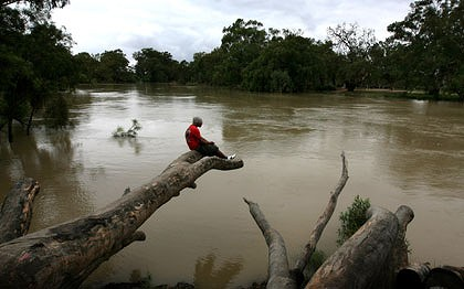 Top spot...Wally Biggs fishes in the swollen Darling River. Photo: Dean Sewell