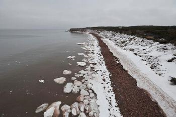 No ice, no seals in this stretch of the Gulf of St. Lawrence. March 23, 2010. (Photo courtesy IFAW)