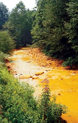 Coal mining has left a legacy of pollution in central Appalachia. Acid mine drainage destroys aquatic life and makes water unfit for human consumption and many industrial uses. Tremendous amounts of iron cause streams to run red. In West Virginia alone over 500 streams are impaired by acid mine drainage. Appalachian Center for the Economy and the Environment