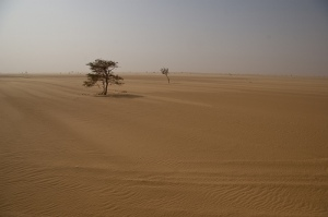 A desertic area in the Sahel. via vonbergen.net from flickr