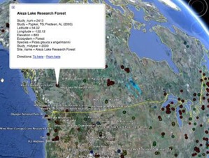 The researchers overlaid the soil respiration database — which is openly available for the scientific community to add to — on Google Earth. (Credit: Image courtesy of DOE/Pacific Northwest National Laboratory)