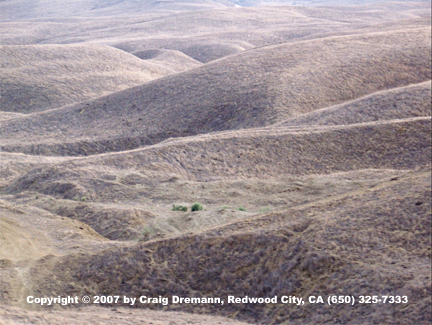 Kettleman Hills, near Kettleman City, CA, May 2007. A few native shrubs are visible, with no other living plant life for miles. Craig Dremann