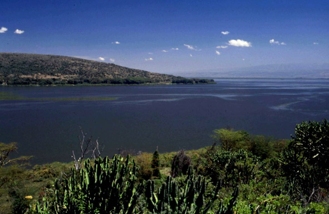 Lake Naivasha, 14 February 2002. Photo: Martin Trauth. Original upload date: 2006-08-05, original uploader was Berliner Tino at de.wikipedia. Wikimedia Commons