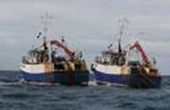 Pair trawling and the dangers to Sierra Leone’s marine resources. Sierra Express Media