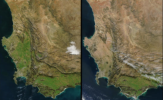 The current drought in South Africa&rsquo;s Western Cape province is withering and stunting vegetation across this crop-producing region. The pair of images above shows southwestern Africa on July 21, 2002 (left), and July 21, 2003 (right). Vegetation health (greenness) is dramatically reduced in the right hand image, particularly in the region between Cape Columbine (left center edge) and southward to the Cape of Good Hope.  Jacques Descloitres, MODIS Land Rapid Response Team/NASA GSFC/earthobservatory.nasa.gov