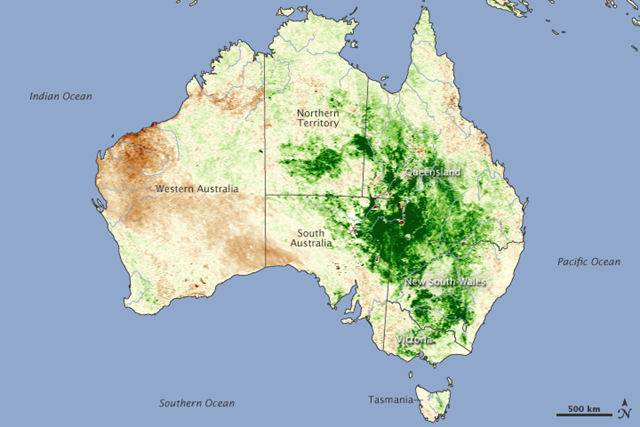 Australia vegetation anomaly, March 2010. Areas where plant growth was higher than the 2006&ndash;2009 average are green. NASA image created by Jesse Allen, using data provided by the United State Department of Agriculture Foreign Agriculture Service and processed by Jennifer Small and Assaf Anyamba, NASA GIMMS Group at Goddard Space Flight Center. Caption by Holli Riebeek.