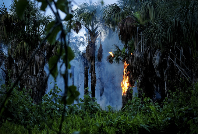 Many Pem&oacute;n in Venezuela, along with some of the scholars who study them, say that burning grassland and forest helps prevent grasses from building into biomass for much larger fires that could tear through the region. Meridith Kohut for The New York Times