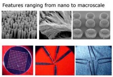 Various parts (nano-molds, nano-wires, gears, membrane, scalpels, and tweezers) fabricated by molding metallic glass over wide range of length scales -- from 13 nm to several millimeters. (Credit: Kumar/Schroers(Yale))