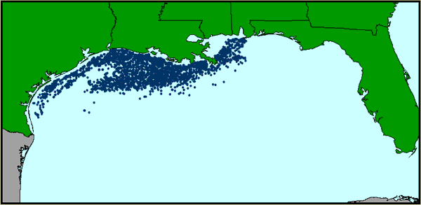 Locations of Oil and Gas Platforms in the Gulf of Mexico. The platform information was made available by Minerals Management Service, and has been reprojected from the NAD 27 datum to NAD 83 to be consistent with the remainder of the data in this GIS. Minerals Management Service, 2005.