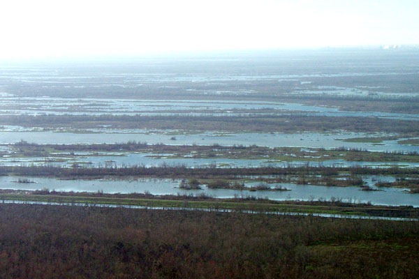 Open water areas in the brackish-water marsh in St. Bernard Parish are lingering signs of storm-related damage. Return flow from Hurricane Katrina’s storm surge eroded vast areas of the marsh, creating long, linear scours across the landscape. Numerous man-made canals dissect the wetlands of St. Bernard Parish. The canals provided conduits for Hurricane Katrina’s storm surge, which reached 20 feet in depth at this area.  Jim Flocks (USGS) via ngom.usgs.gov