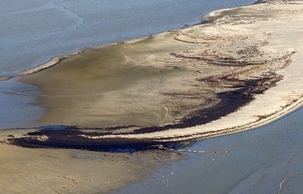 This oil-stained island near the South Pass of the Mississippi River was photographed Friday, 21 May 2010. Patrick Semansky / The Associated Press