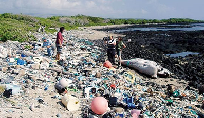 Life's a beach: Plastic garbage on Kamilo Beach in Hawaii (top), where debris from the Eastern Garbage Patch often accumulates (JEAN KENT UNATIN/ ALGALITA MARINE RESEARCH FOUNDATION)