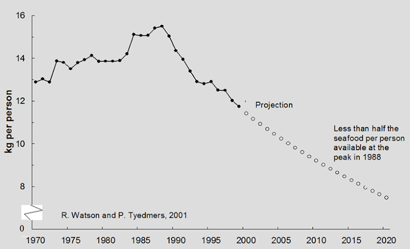 Caught Seafood Per Person (Peak Seafood). Daniel Pauly, after Watson and Tyedmers, 2001 