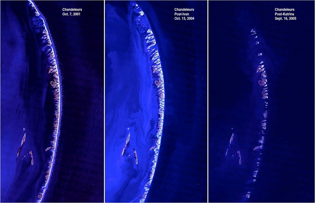 [Chandaleurs 2001-2005[7].jpg]