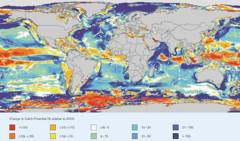 Change in maximum catch potential from 2005 to 2055 under doubling of greenhouse gas concentration by the year 2100. Cheung, et al., 2009