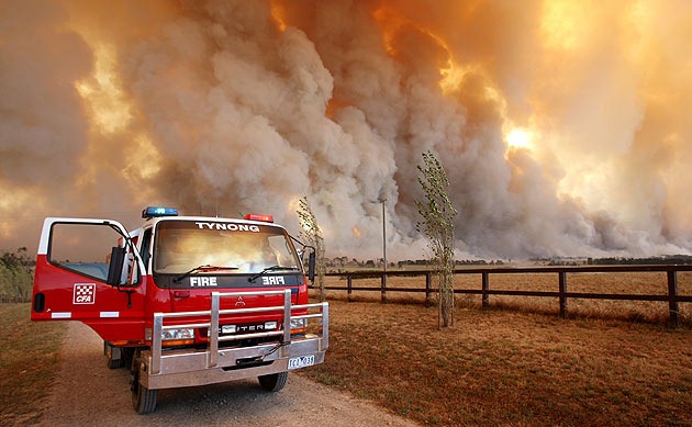A fire crew monitor the flames in Victoria's Bunyip state forest, Feb 2009. Photograph: William West / AFP / Getty Images