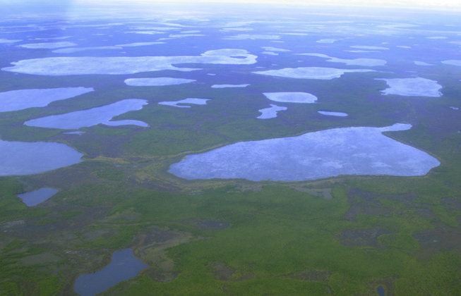 Thermokarst lakes appear on thawing permafrost soil in northeast Siberia in August 2007. For thousands of years, layers of animal and plant waste have been sealed inside the frozen permafrost. Now climate change is thawing the permafrost and lifting this prehistoric ooze from suspended animation. Russian scientists believe that this organic matter will significantly accelerate global warming. (Photo: Reuters)