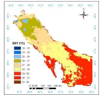 MODIS satellite images covered the Arabian Gulf (yearly average for 2006). This image show that the temperature increases generally towards the coastline. This is perhaps due to the heating effect of the local human activities which take place near the shoreline. The heating is about 2-3 &ordm;C within 20 to 30 km from the shoreline. (Credit: NASA)