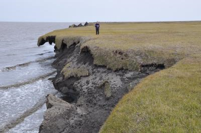 A new study led by the University of Colorado at Boulder indicates part of the northern Alaska coastline is eroding by up to 45 feet annually due to declining sea ice, warming seawater and increased wave activity. Credit: Robert S. Anderson, University of Colorado