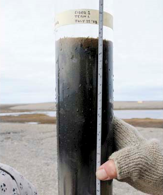 Sediment cores like this one recovered from Eider Pond provide information about contaminants and even differences in seabird diets. Photograph by: Handout, John P. Smol, Queen's University