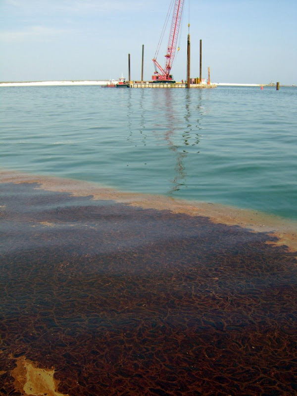 As a pile driver works in Perdido Pass on June 12, 2010, to install an oil blocking system, oil that passed the pile driver collected along the seawall inside the Pass. Press-Register / Ricky Mathews