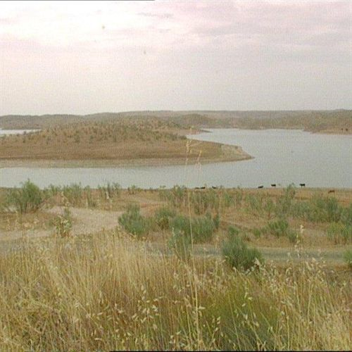 Forest in Valencia, Spain is threatened with soil degradation, erosion, and desertification. EP TV