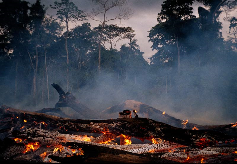 What was once pristine rain forest now smolders in Rondonia, Brazil. Much tropical deforestation is caused by ranchers, who burn the forest to create cattle grazing pastures. Michael Nichols / National Geographic
