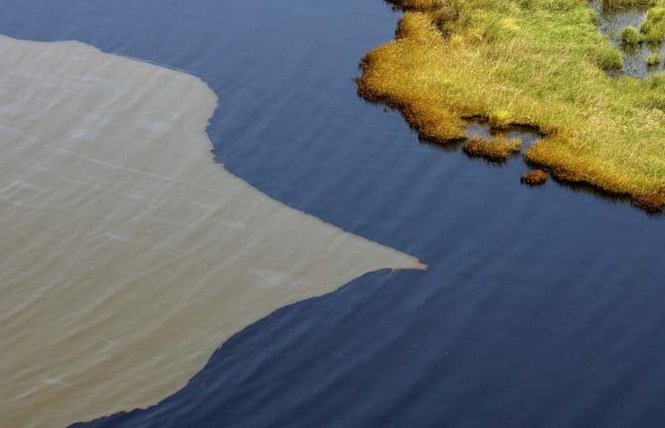 Oil sheen, left, and black, oily water stain an inlet in Barataria Bay, June 9, 2010, taken during an aerial helicopter overflight from JPSO West Bank headquarters to Grand Isle and back to survey current status of oil damage. G. ANDREW BOYD / THE TIMES-PICAYUNE