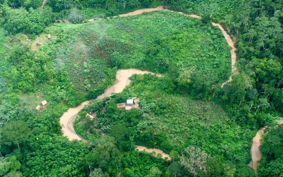 Illegal logging settlement inside the Murunahua Reserve for uncontacted tribes, southeast Peru. Photo: &copy; Chris Fagan / Upper Amazon Conservancy