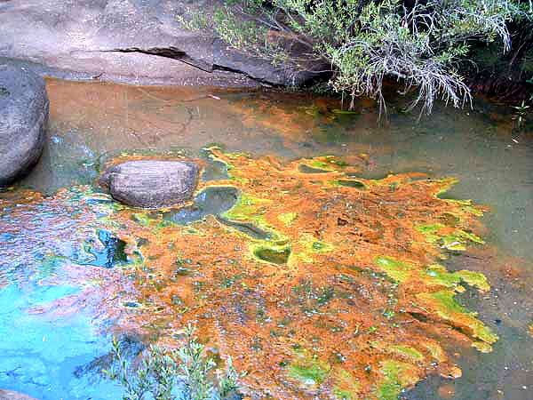 Contamination from coal mining near the Cataract River in Australia, November 2007. peonyden.blogspot.com 