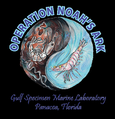 Operation Noah's Ark logo, Gulf Specimen Marine Lab