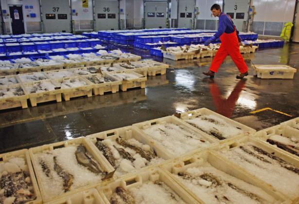 Last week, Fishermen from Peterhead, Scotland (pictured), prevented a Faroese vessel from unloading 900 tonnes of mackerel. GETTY IMAGES