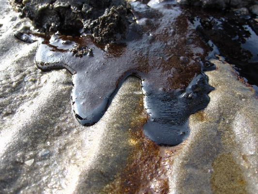 Oil and tar on the beach of Grand Isle State Park, Louisiana, 20 August 2010. Center for Biological Diversity 