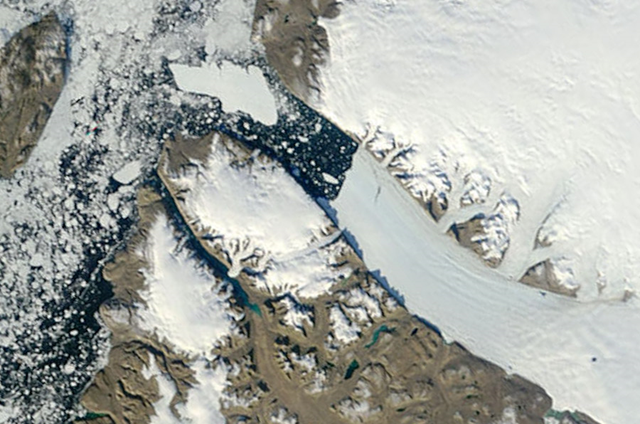 The ~250 square km Petermann floating ice “island” has drifted into Nares St. The drift out of Petermann fjord has been slow, as tides wash in and out and the berg was jammed in the fjord 20-25 August. Prevailing winds blowing toward the south will push the berg in that direction. NASA / MODIS