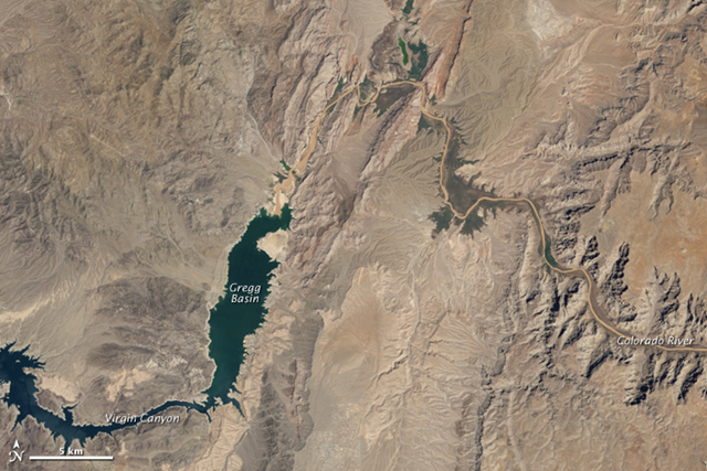 Lake Mead imaged by the Thematic Mapper on the Landsat 5 satellite, 11 August 2010. NASA Earth Observatory image created by Robert Simmon and Jesse Allen, using Landsat data provided by the United States Geological Survey