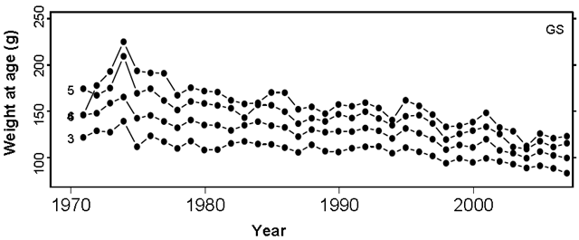 Estimates of weight-at-age (g) for 3-6 year old herring from 1970 to 2008. 2010 Canadian Marine Ecosystem Status and Trends Report