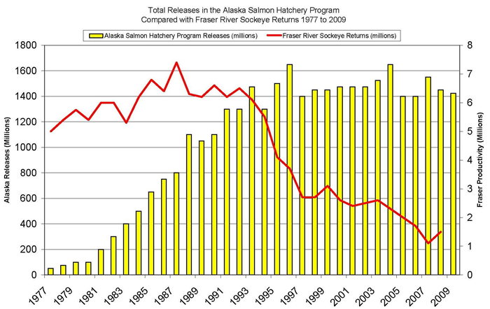Total Releases in the Alaska Salmon Hatchery Program Compared with Fraser River Sockeye Returns, 1977-2009. sf.adfg.state.ak.us via alaskasalmonranching.wordpress.com