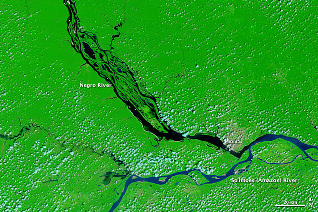 Brazil's Negro River reaches record low. The image was taken on December 10, 2010 by the Moderate Resolution Imaging Spectroradiometer (MODIS) on NASA’s Terra satellite. The image includes both infrared and visible light in a combination that highlights the presence of water of the ground. Clear water is black, while sediment-laden water, such as the Amazon River, is dark blue. Clouds are pale blue and plant-covered land is green. The city of Manaus is light tan. Image courtesy NASA GSFC