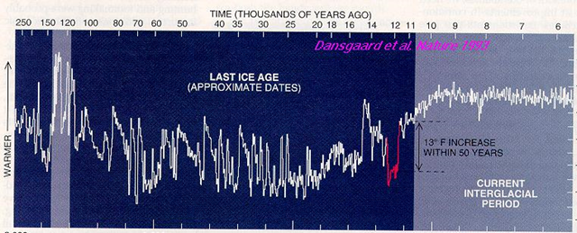 The GRIP ice core showing the temperature of Greenland for the last 250,000 years, including the last warm period at 125,000 years ago and the aborted cooling 8,200 years ago. Dansgaard, et al., 1993 / williamcalvin.com