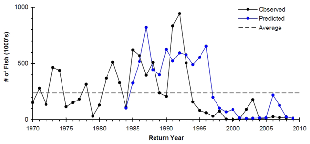 Returns and forecasts of Rivers and Smith Inlet sockeye salmon, 1970-2009. 2010 Canadian Marine Ecosystem Status and Trends Report