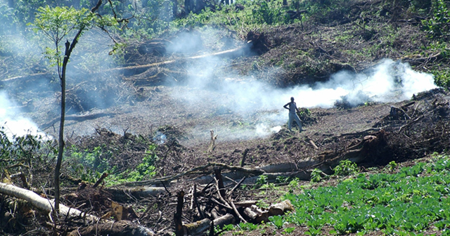 A new settler clears indigenous trees to cultivate crops in the Mau Forest Complex, Kenya&rsquo;s largest water tower. The Mau has lost about 490,000 acres during the past 15 years, including more than 61,000 acres from government-backed excisions in 2001. The photo was taken in February 2005, courtesy of United Nations Environment Programme / eenews.net