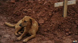 A dog lays beside the grave of a flood victim in Brazil, 23 January 2011. Funeral workers said some dogs were guarding their owners' graves for days. AFP